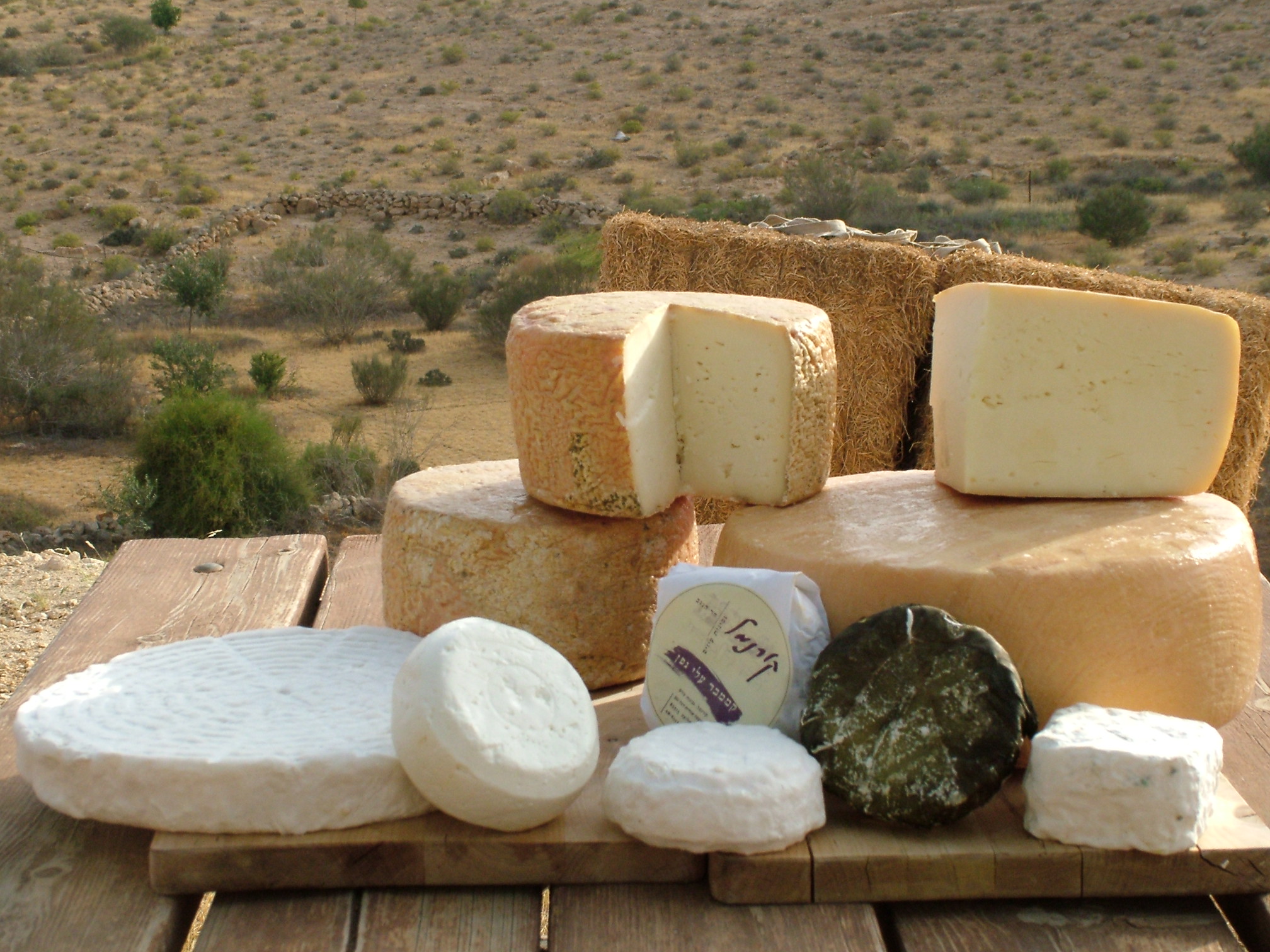 Kornmehl Cheese Farm